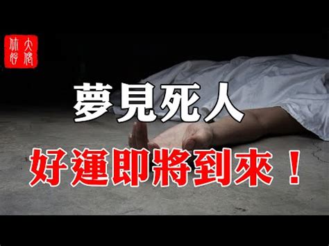 夢見鴿子死掉|夢見鴿子─夢境解析─解夢夢工廠─科技紫微網